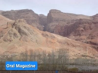 افراد مسلح در بامیان گوسفندان یک چوپان را ربودند